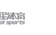 DUDUDUDU 维斯塔潘驾驶梅奔赛车夺冠！