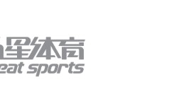 DUDUDUDU 维斯塔潘驾驶梅奔赛车夺冠！