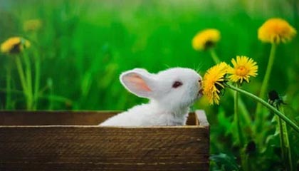 kaiyun sports-罗竞禁区外巧妙摆脱后远射破门,助玉昆主场先拔头筹